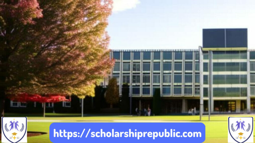 7 International Scholarships for Undergraduates